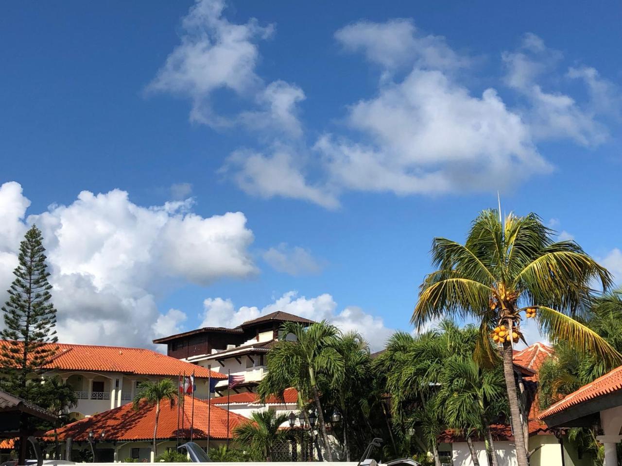 Hotel Seranta Brisas De Bavaro (Adults Only) Punta Cana Exteriér fotografie